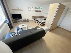 Pronájem bytu 1+1, Plzeň - Božkov, Barákova, 45 m2