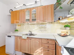 Prodej bytu 3+1, České Budějovice - České Budějovice 2, K. Chocholy, 66 m2