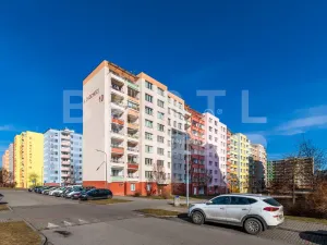 Prodej bytu 3+1, České Budějovice - České Budějovice 2, K. Chocholy, 66 m2