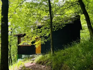 Prodej chaty, Kaliště, 30 m2