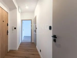 Prodej bytu 2+1, Český Těšín, Frýdecká, 51 m2