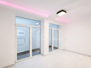 Pronájem bytu 2+kk, Praha - Karlín, Sokolovská, 48 m2