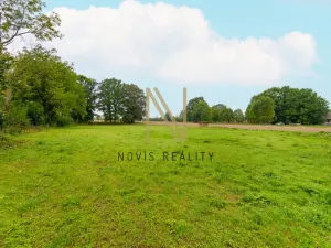 Prodej pozemku pro bydlení, Janovice nad Úhlavou - Petrovice nad Úhlavou, 906 m2