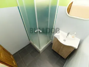 Prodej chalupy, Vysoké nad Jizerou - Horní Tříč, 368 m2