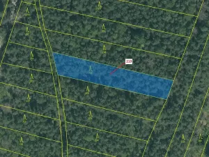 Dražba lesa, Vesce, 1673 m2