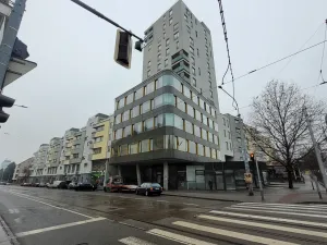 Pronájem obchodního prostoru, Brno, Purkyňova, 39 m2
