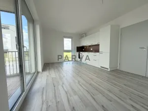 Pronájem bytu 1+kk, Plzeň - Litice, Hrachová, 32 m2