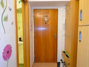 Prodej bytu 1+1, Olomouc - Nová Ulice, Hraniční, 32 m2