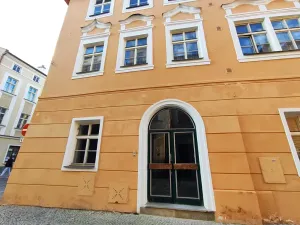 Pronájem bytu 1+kk, Jihlava, Matky Boží, 28 m2