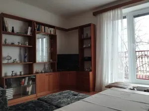 Pronájem bytu 2+1, Plzeň, Francouzská třída, 65 m2