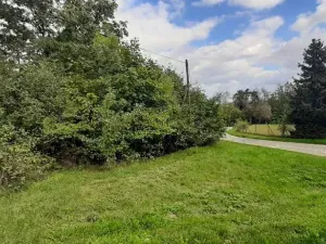 Prodej lesa, Mostkovice, 576 m2