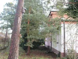 Prodej rodinného domu, Káraný, Na Betonce, 190 m2