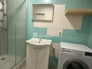 Pronájem bytu 2+1, Ústí nad Labem - Střekov, Střekovské nábřeží, 54 m2