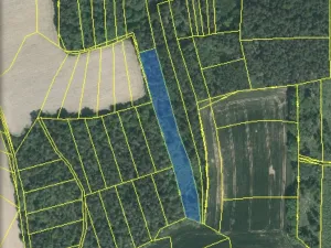 Prodej lesa, Blížejov - Lštění, 4624 m2