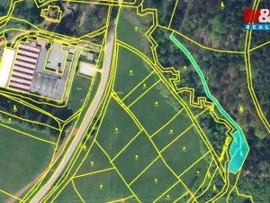 Prodej lesa, Stárkov, 640 m2