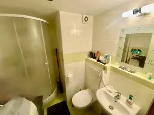 Prodej bytu 2+kk, Liberec, Ježkova, 42 m2