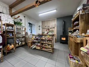 Prodej obchodního prostoru, Žamberk, Kostelní, 86 m2