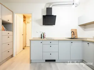 Pronájem bytu 1+kk, Praha - Vinohrady, Perucká, 25 m2