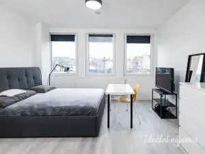Pronájem bytu 1+kk, Praha - Vinohrady, Perucká, 25 m2
