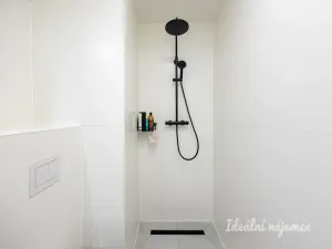 Pronájem bytu 1+kk, Praha - Vinohrady, Perucká, 25 m2