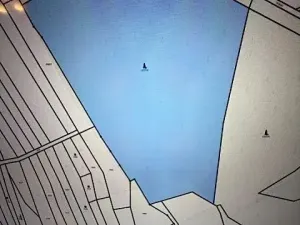 Prodej lesa, Březolupy, 29958 m2