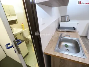 Pronájem bytu 1+kk, Karlovy Vary - Rosnice, 20 m2