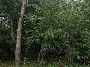 Prodej pozemku pro bydlení, Hradištko, Na Vrcholu, 1486 m2