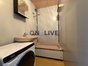 Pronájem bytu 1+1, Plzeň, Brněnská, 38 m2