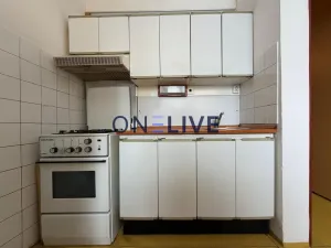 Pronájem bytu 1+1, Plzeň, Brněnská, 38 m2