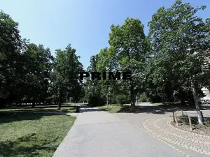 Pronájem bytu 2+kk, Praha - Vinohrady, Mánesova, 91 m2