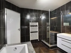 Pronájem bytu 3+kk, České Budějovice, Plachého, 90 m2