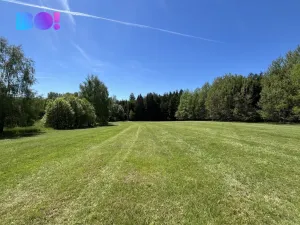 Prodej lesa, Žďár nad Sázavou - Stržanov, 43856 m2