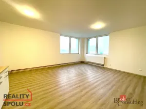 Pronájem bytu 1+kk, Mlékojedy, 47 m2