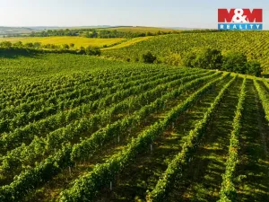 Prodej pole, Šardice, 56699 m2