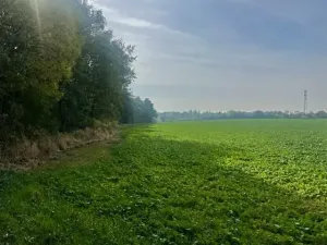 Prodej pole, Praha - Liboc, Na Padesátníku I, 24066 m2