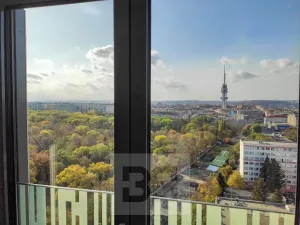 Pronájem bytu 2+kk, Praha - Žižkov, Olšanská, 66 m2