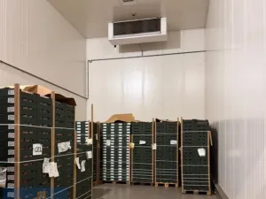 Pronájem skladu, Žižice - Vítov, 1762 m2