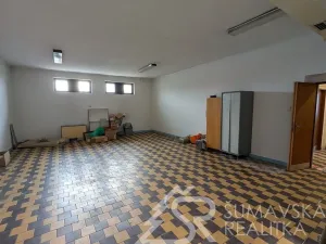 Prodej obchodního prostoru, Předslav, 494 m2