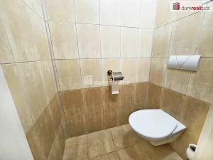 Pronájem bytu 2+1, Litoměřice - Litoměřice-Město, Anenská, 62 m2