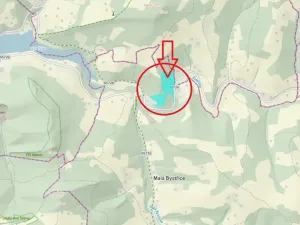 Prodej lesa, Malá Bystřice, 54751 m2