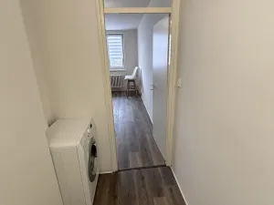 Pronájem bytu 1+kk, Ostrava - Moravská Ostrava, U Parku, 25 m2