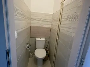 Pronájem bytu 2+1, Plzeň, Francouzská třída, 54 m2