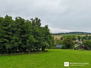 Prodej pozemku pro bydlení, Pulečný, 4466 m2