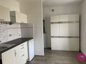 Pronájem bytu 1+1, Olomouc, Vaníčkova, 40 m2