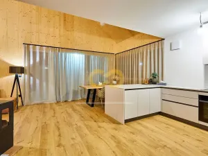 Pronájem rodinného domu, Chotyně, 194 m2