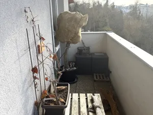 Prodej bytu 2+kk, Jihlava, Březinova, 55 m2