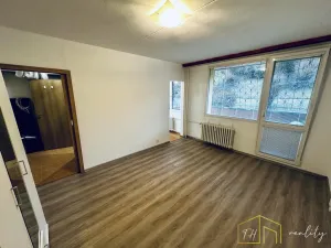 Prodej bytu 1+1, Bílina - Pražské Předměstí, Alšova, 27 m2