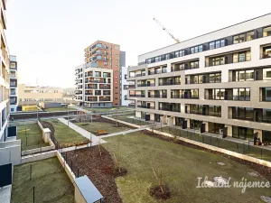 Pronájem bytu 2+kk, Praha, Poděbradská, 53 m2