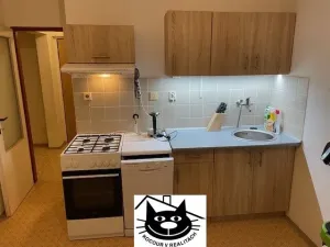 Pronájem bytu 1+1, Příbram - Příbram VIII, Čechovská, 44 m2