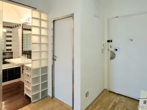 Pronájem bytu 2+kk, Praha, Masarykovo nábřeží, 51 m2